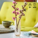 40725_eComFrame1