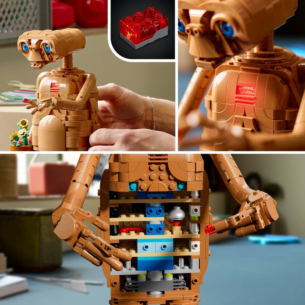 21370_eComFrame3