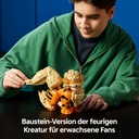 72160_eComFrame2_DE