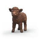 42740_part_calf_HY2_2026