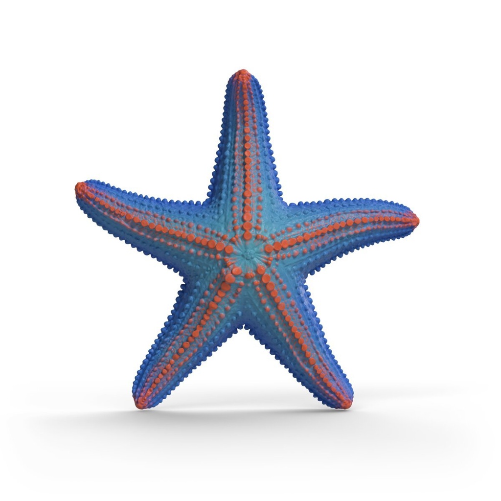 42742_part_starfish_2HY_2026