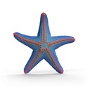 42742_part_starfish_2HY_2026