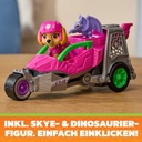 0681147110120_293_6075758_03