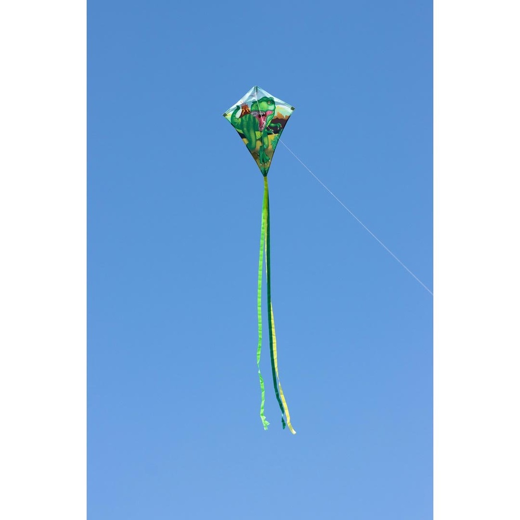 102119_g43
