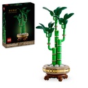 10344_eComBoxProduct