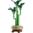 10344_eComProduct
