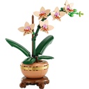 10343_eComProduct