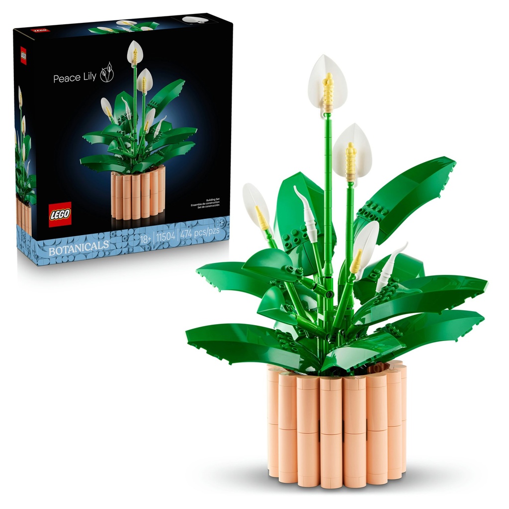 11504_eComBoxProduct