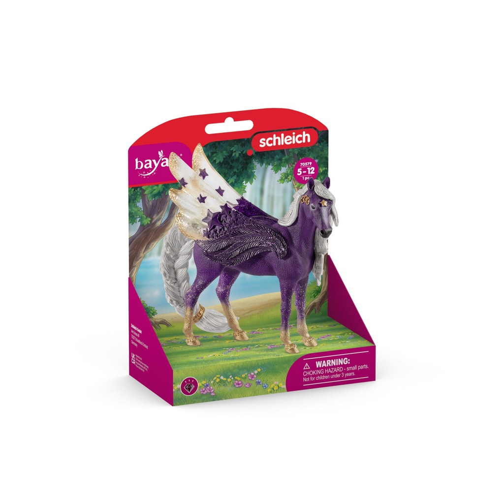 70579_packshot