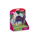 70579_packshot