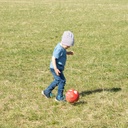 42429_image14_02