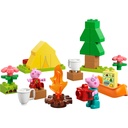 10452_eComProduct