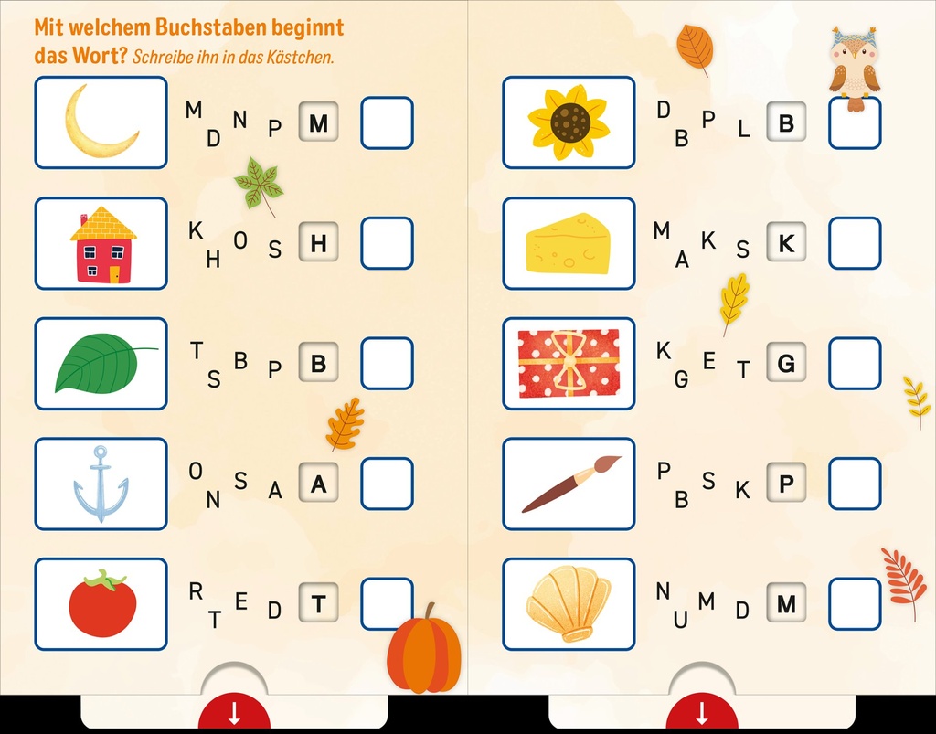ANS_9783845868042_2D_IN02