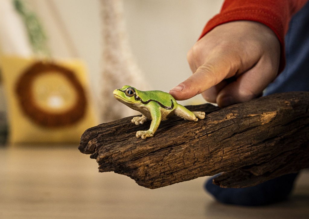 14882_Wildlife_Europaeischer_Laubfrosch_cropped_quer_rgb