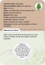 4033477097163_Inhalt_1B