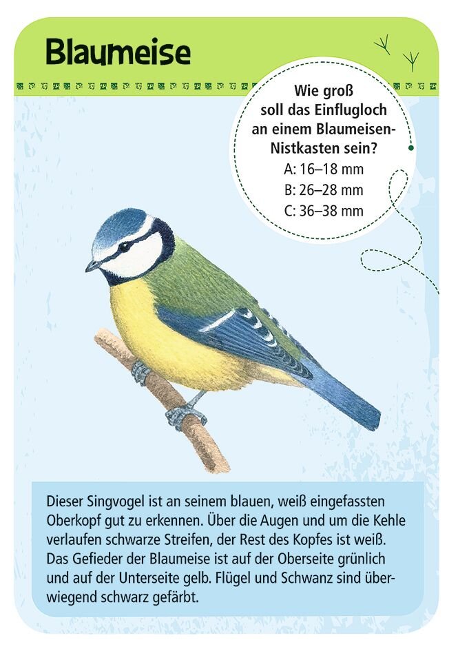 4033477097156_Inhalt_1A