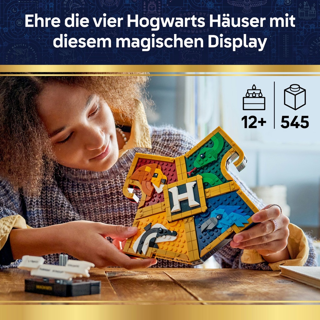 76462_eComFrame1_DE