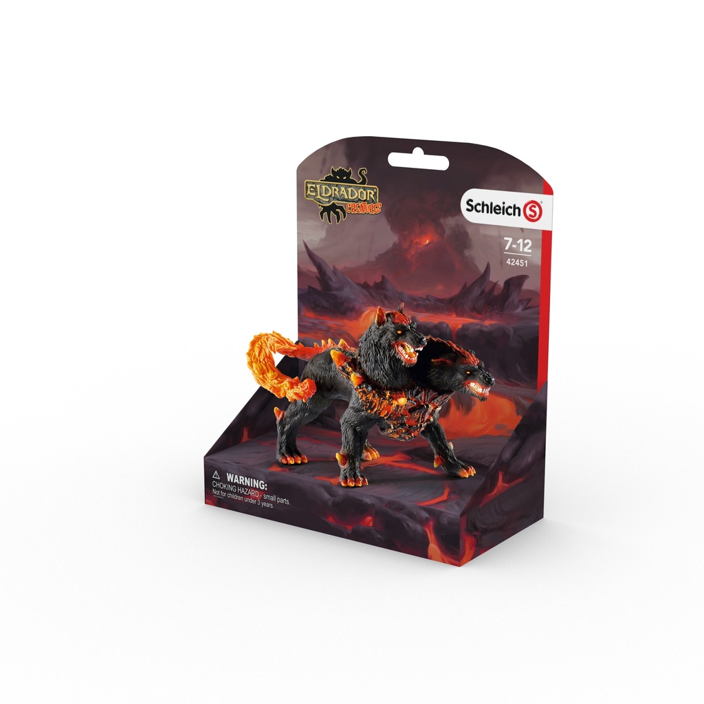 42451_packshot