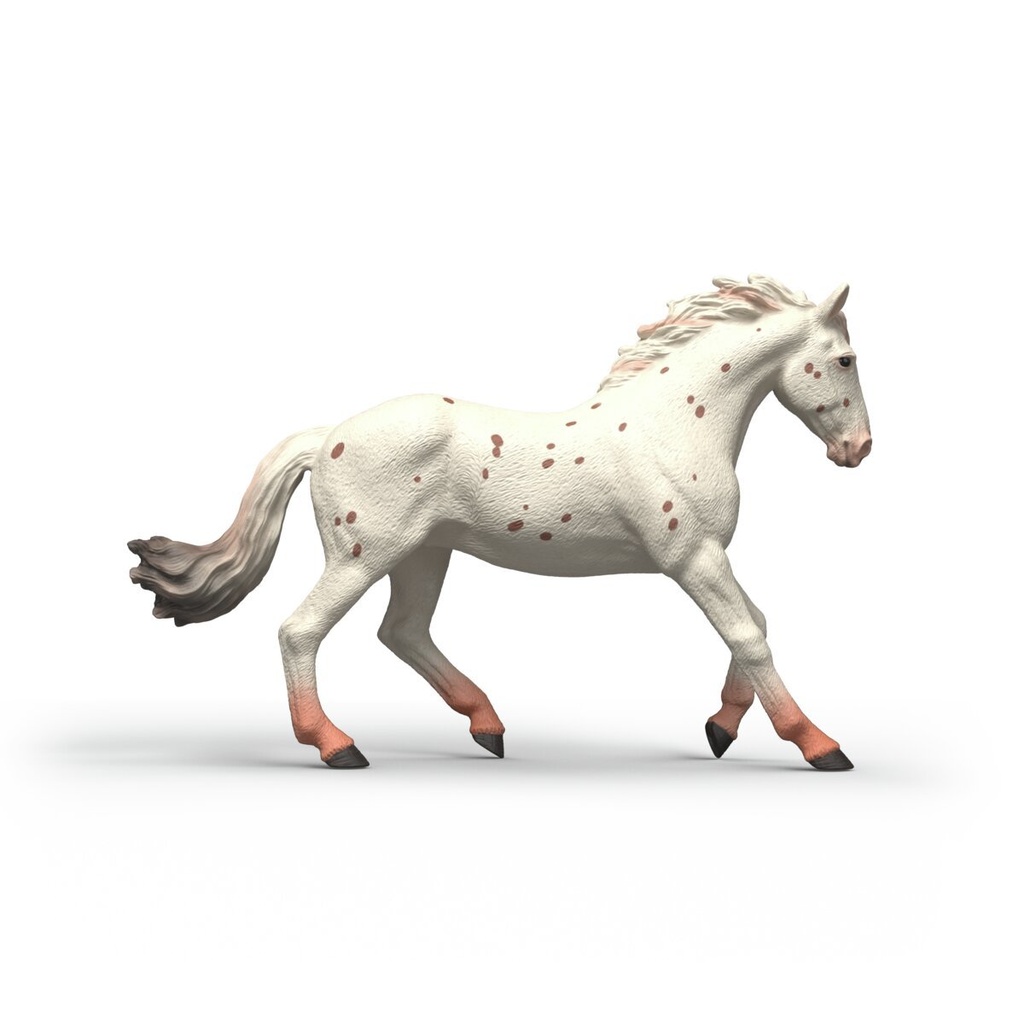 14917_view-right_HY1_2026