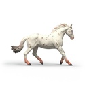 14917_view-right_HY1_2026