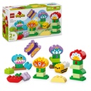 10444_eComBoxProduct