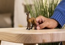 14890_Farmworld_Lama_Fohlen_cropped_quer_rgb