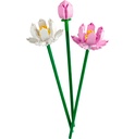40647_eComProduct