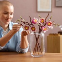 11510_eComLifestyle