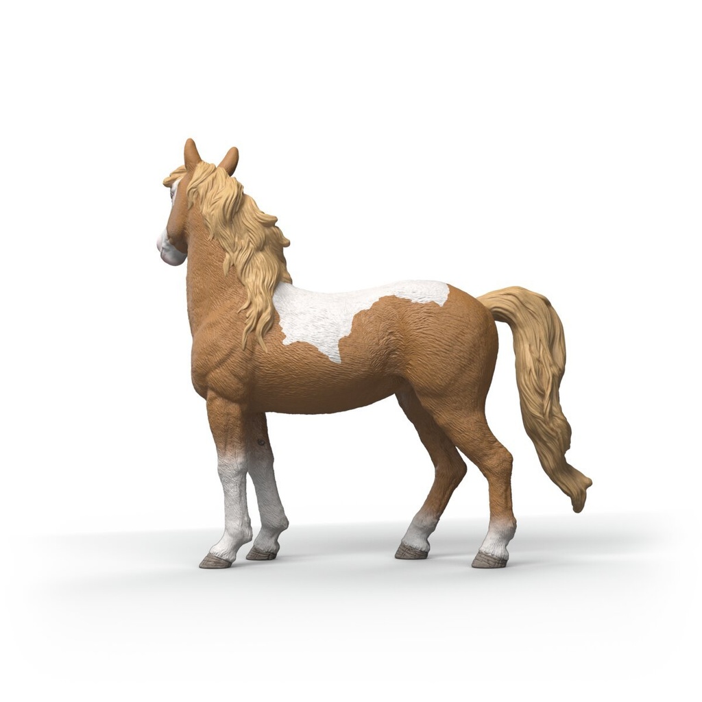 14920_view-left_HY1_2026