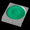 300008800_1300