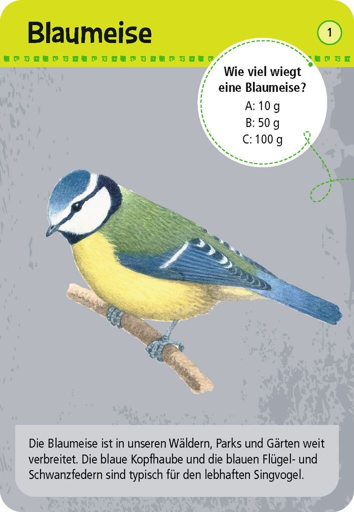 4033477097781_Inhalt_1A