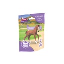 81480_packshotfront_HY2_2026