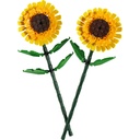 40524_eComProduct
