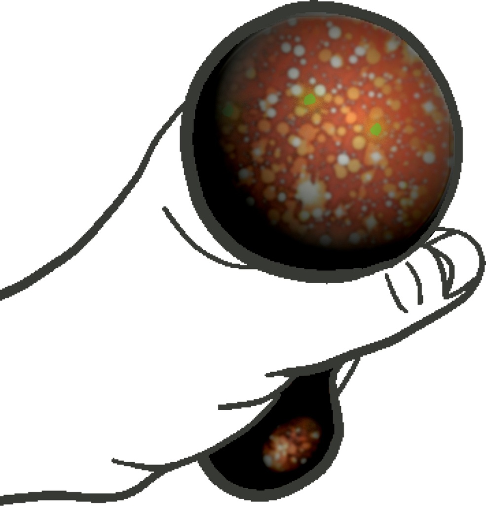 4029753231789_1