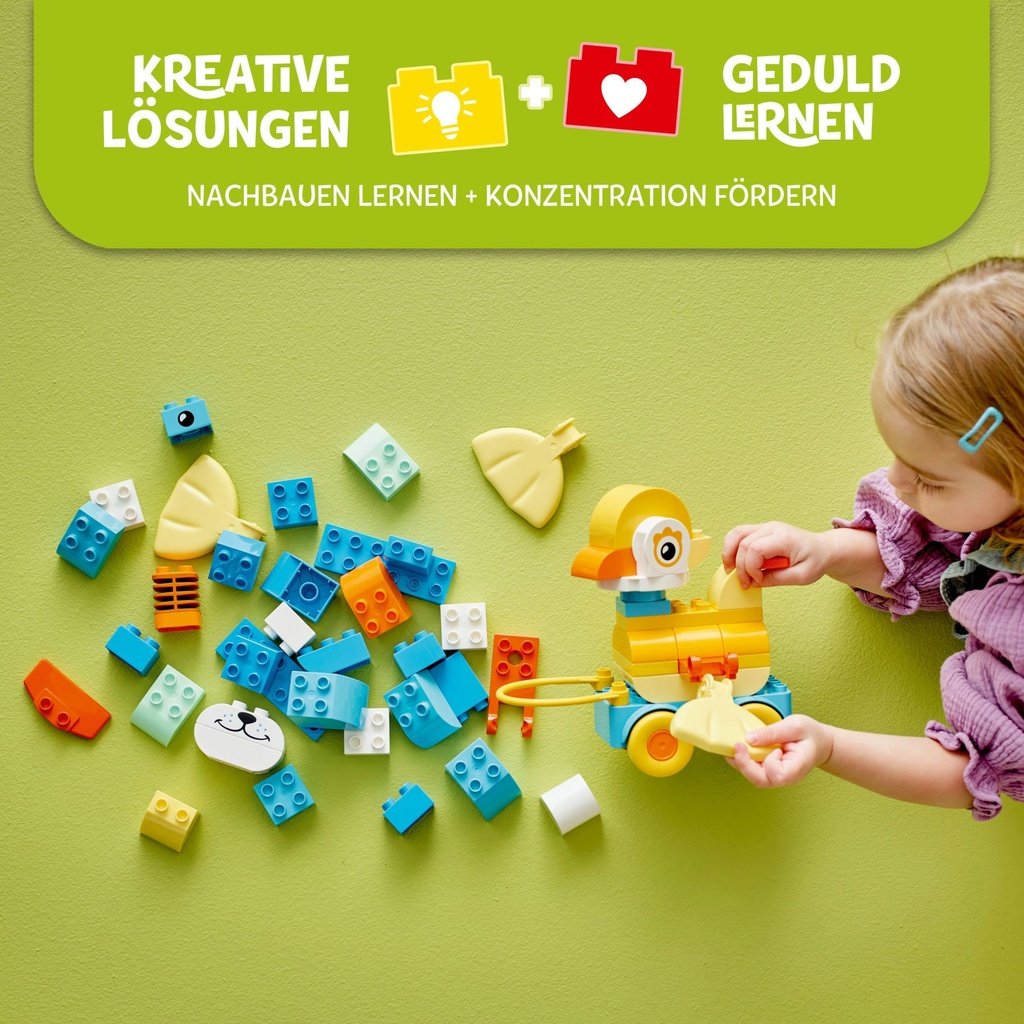 10448_eComFrame2_DE