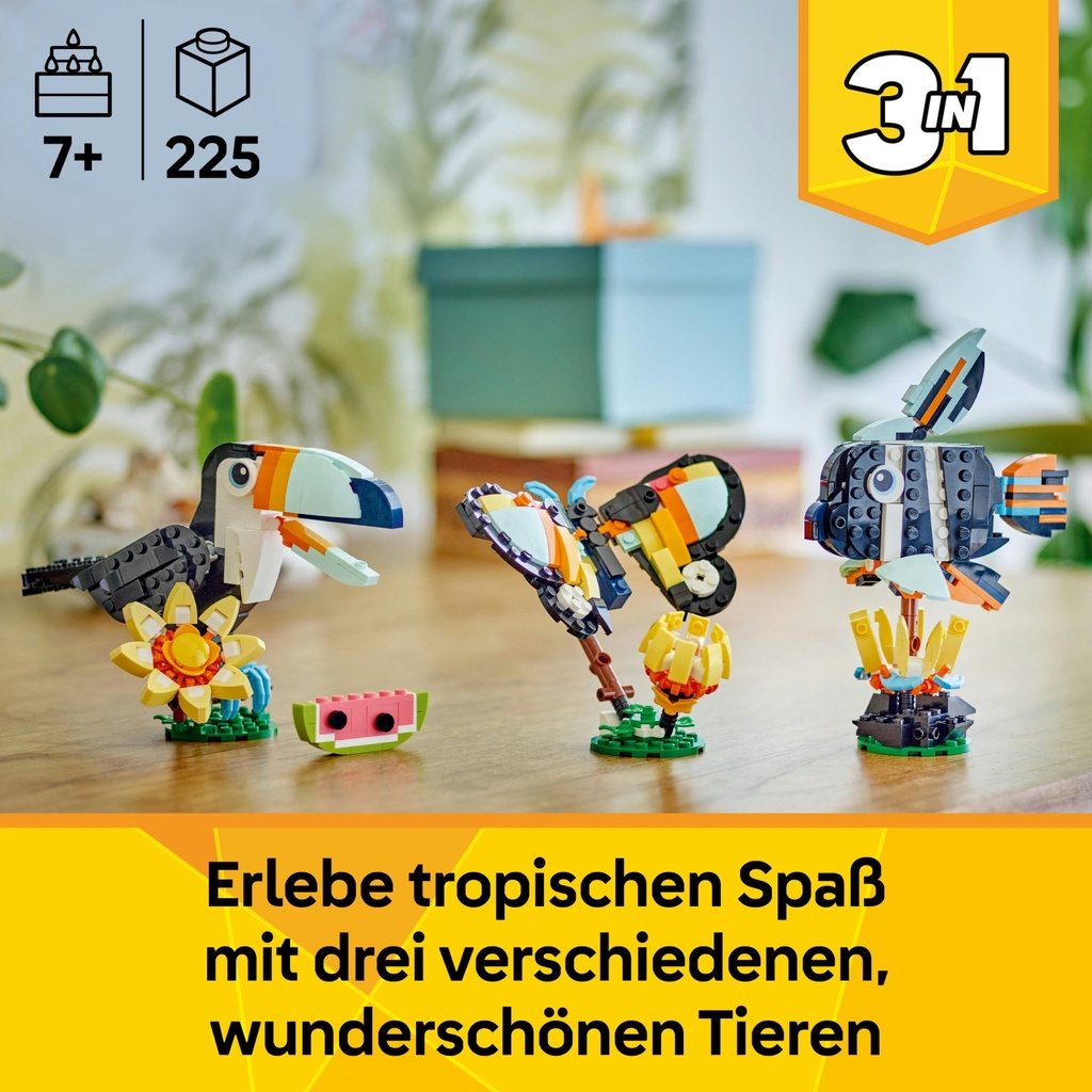 31173_eComFrame1_DE