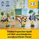 31173_eComFrame1_DE