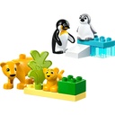 10442_eComProduct