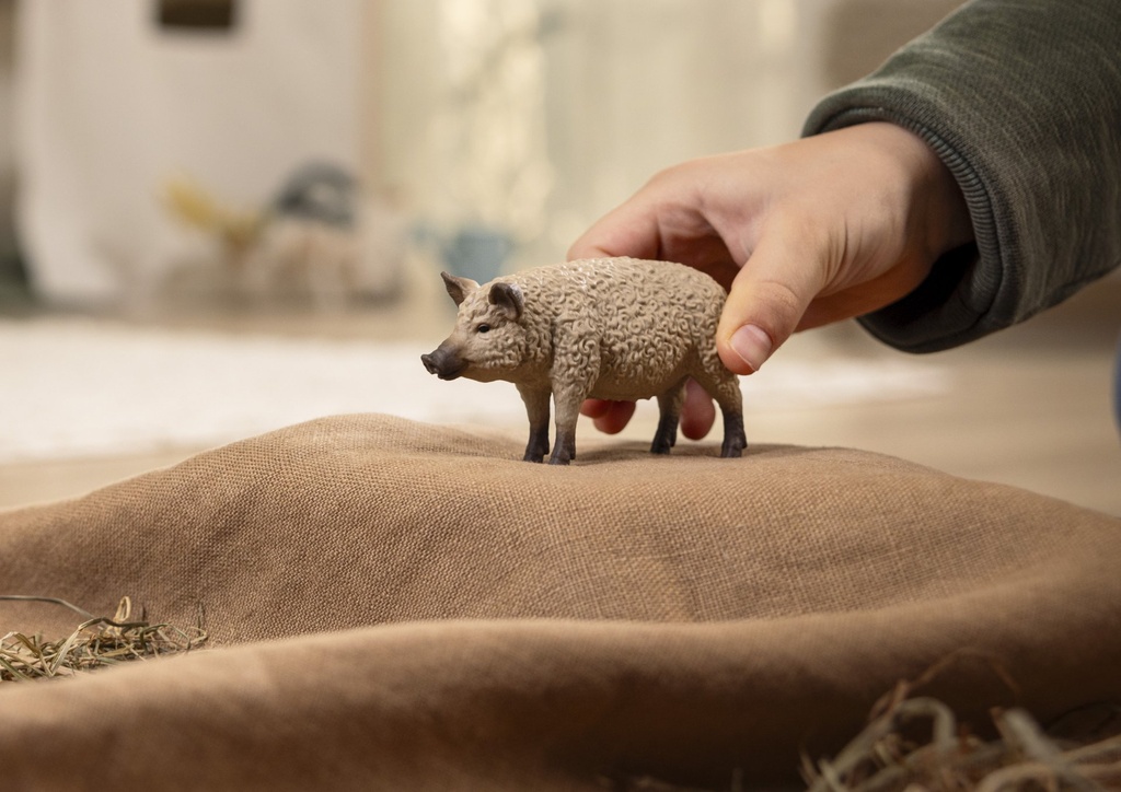 14892_Farmworld_Wollschwein_cropped_quer_rgb