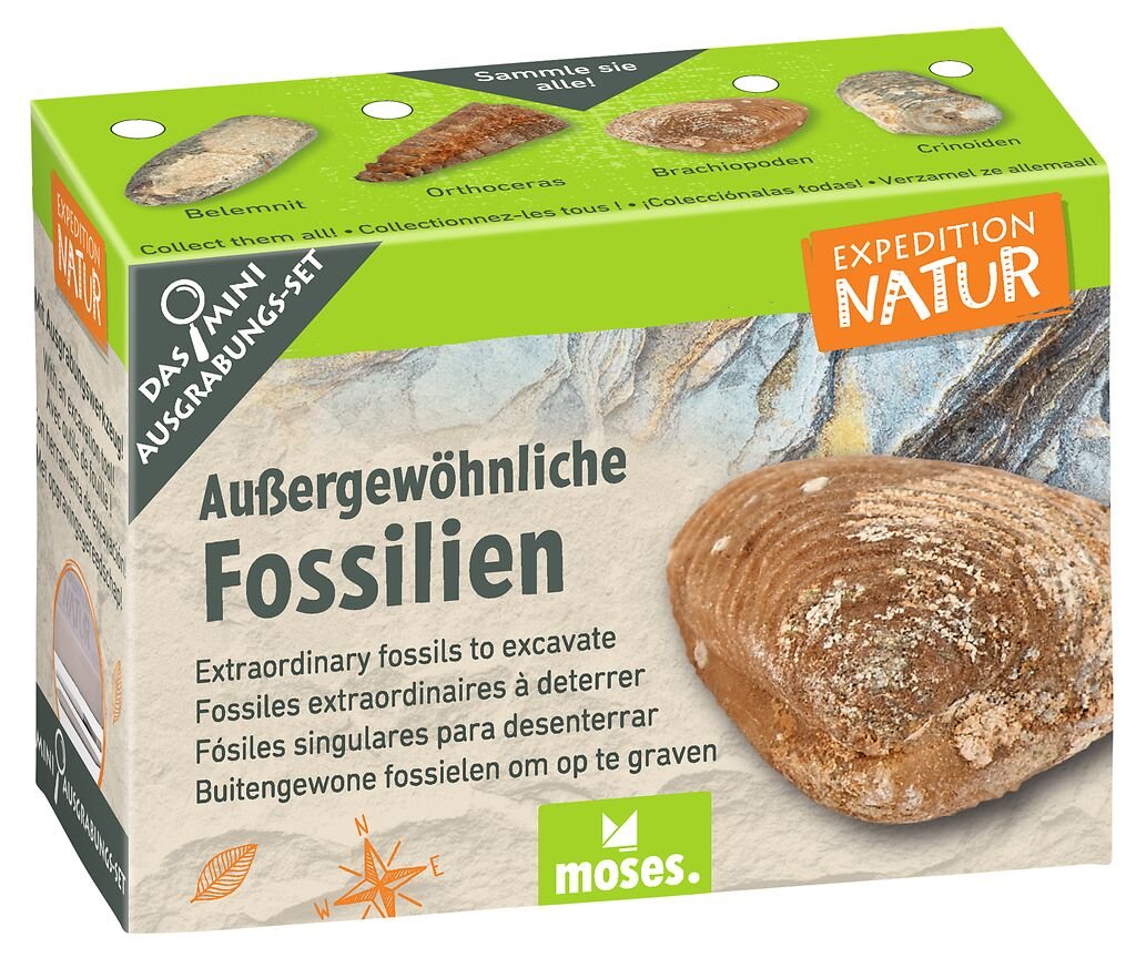 [4033477098313] Exp Nat Mini-Ausgrabungssets