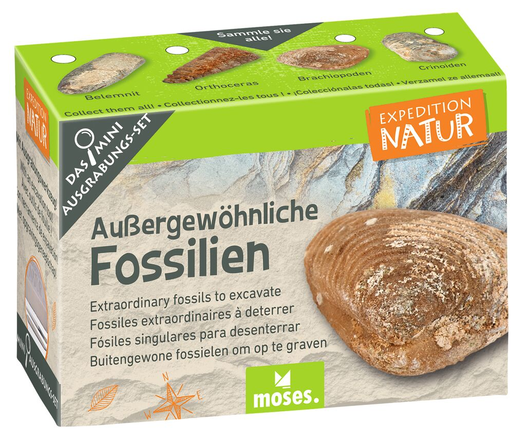 Exp Nat Mini-Ausgrabungssets