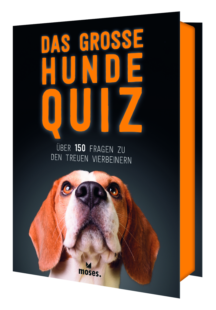 Das große Hunde Quiz