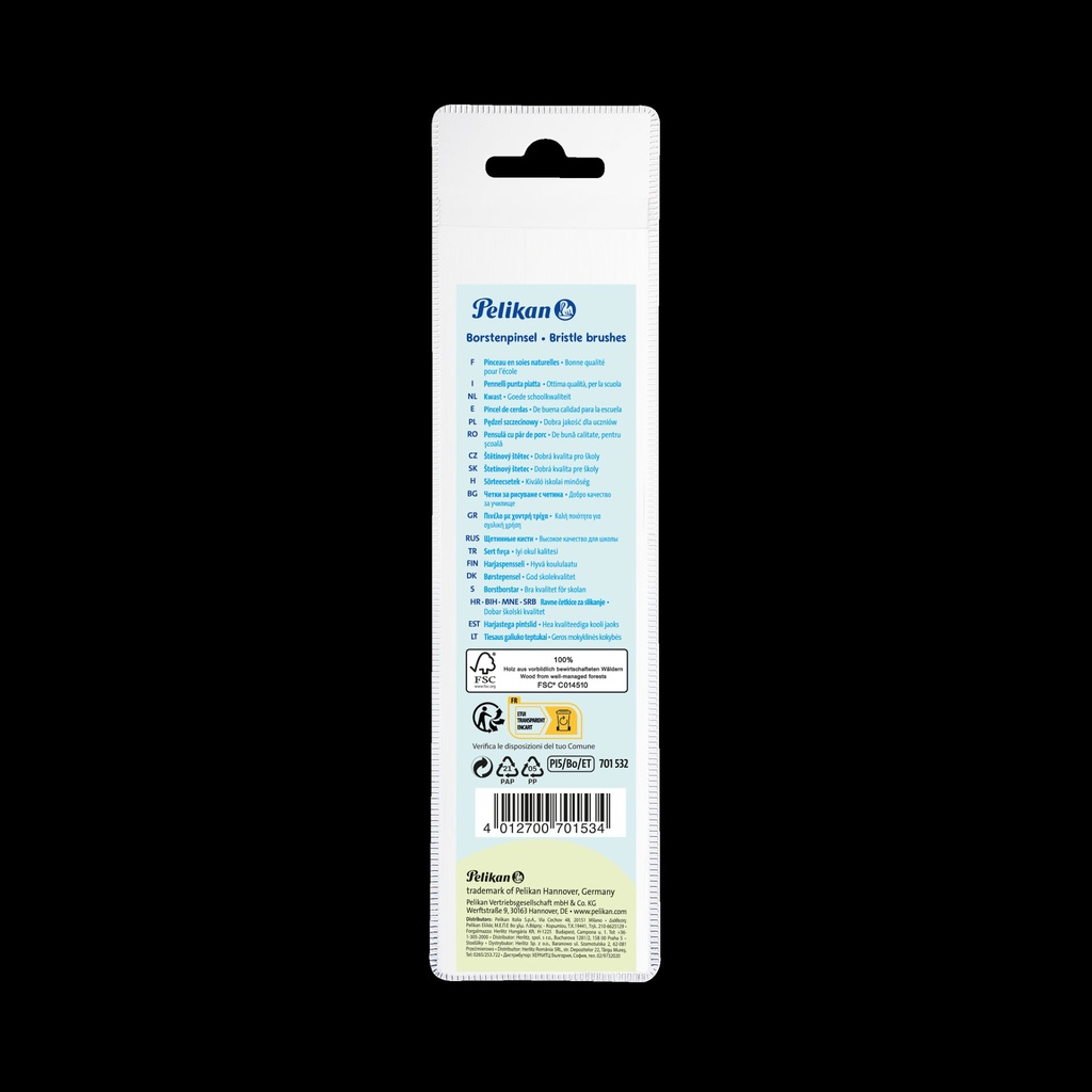 Pinsel Starter-Set PI5/Bo/ET