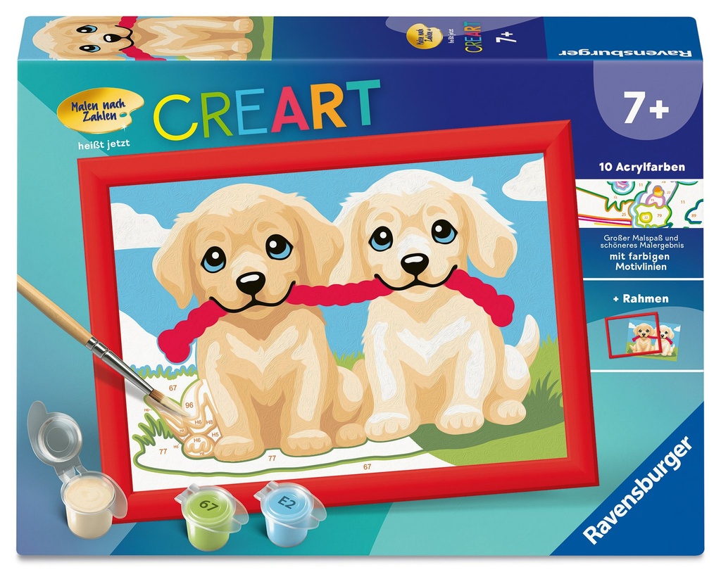 Spielende Hunde