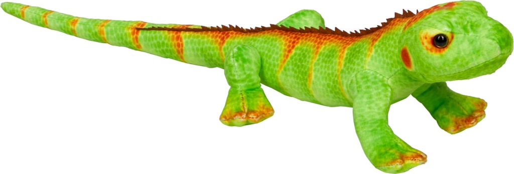 Grüne Eidechse - Nature Zoom