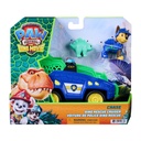 PAW Dino Movie Themed Vehicle Chase
