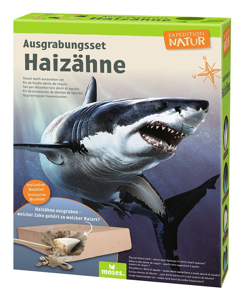 Ausgrabungsset Haizähne