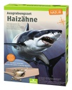 Ausgrabungsset Haizähne
