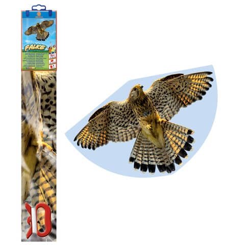 [4001664012305] Günther Kinderdrachen Falke