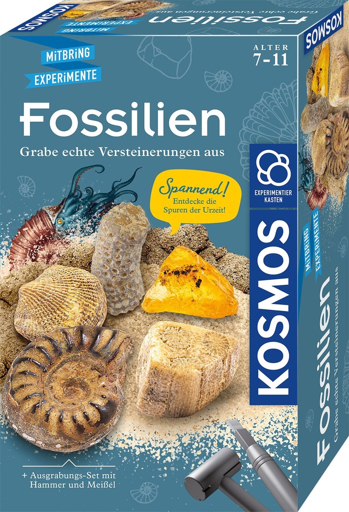 [4002051657918] Fossilien